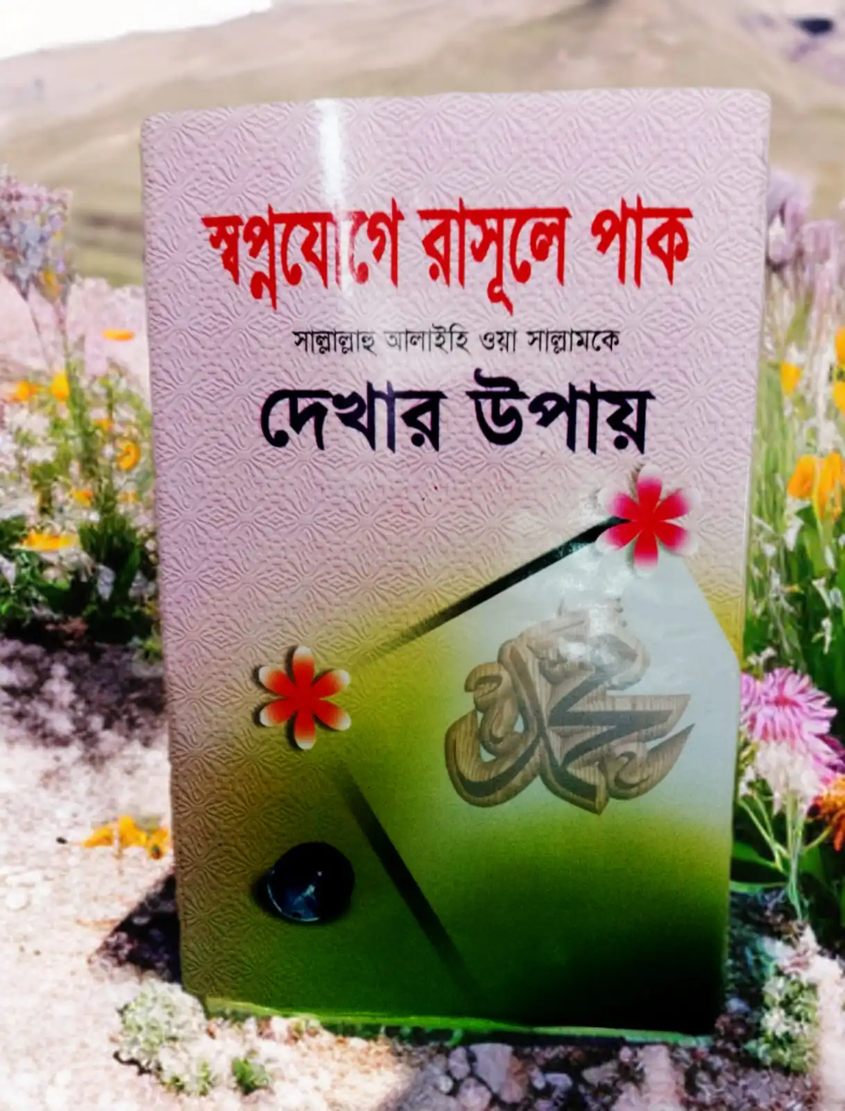 স্বপ্নযোগে রাসূলে পাক (সাঃ)-কে দেখার উপায়